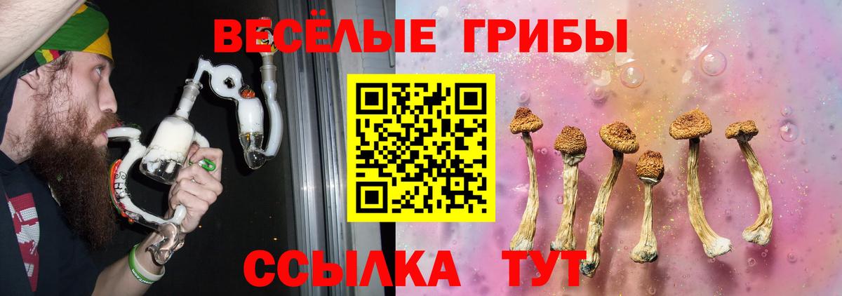 где купить наркотик  Вход с VPN  Саяногорск  Псилоцибиновые грибы GOLDEN TEACHER 